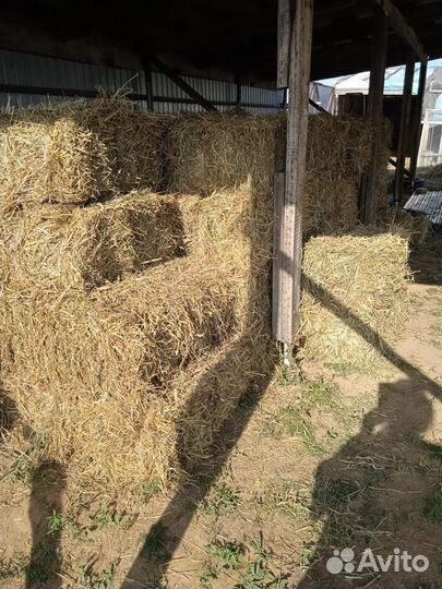 Сено в тюках.Солома