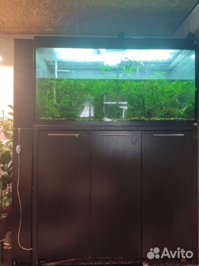 Аквариум с тумбой 500 литров