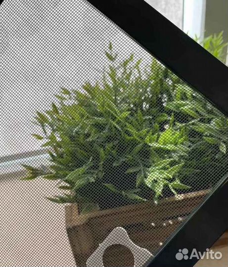 Москитная сетка на все виды окон с установкой