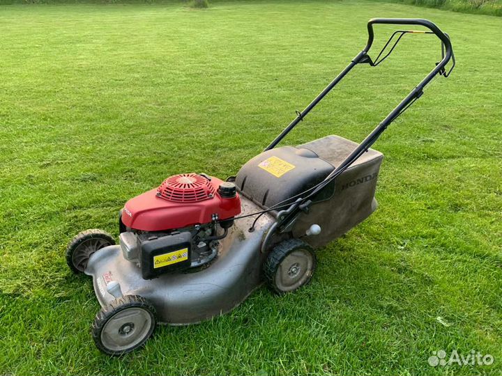 Садовник с опытом работы