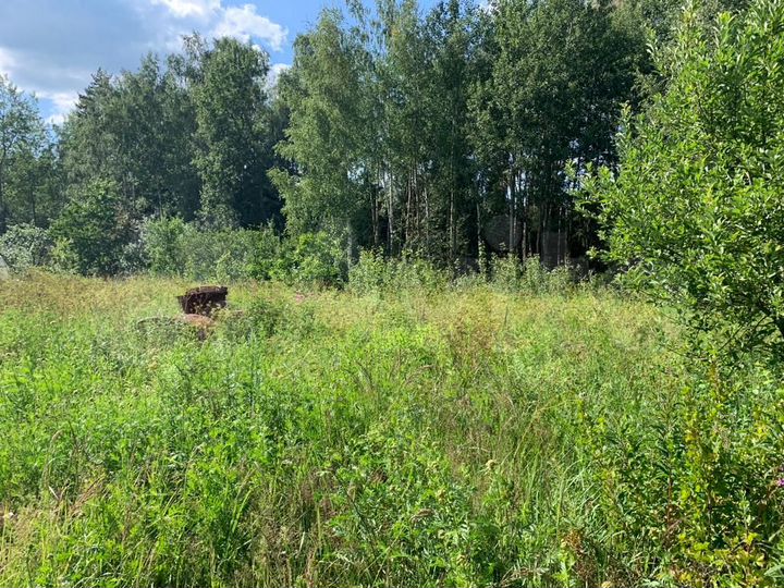 Участок 9,4 сот. (СНТ, ДНП)