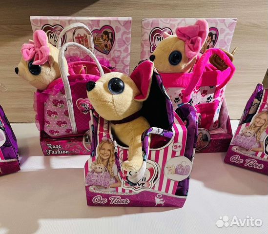 Собачка чичилав chi chi love