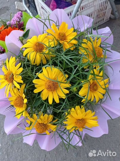 Цветы, Букеты из цветов