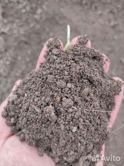 Навоз перегной коровий конский доставка