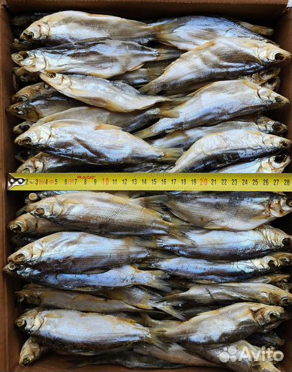 Пелядь вяленая