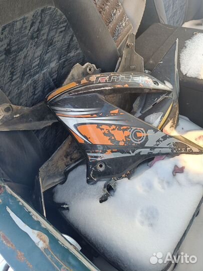 Пантера Рейсер