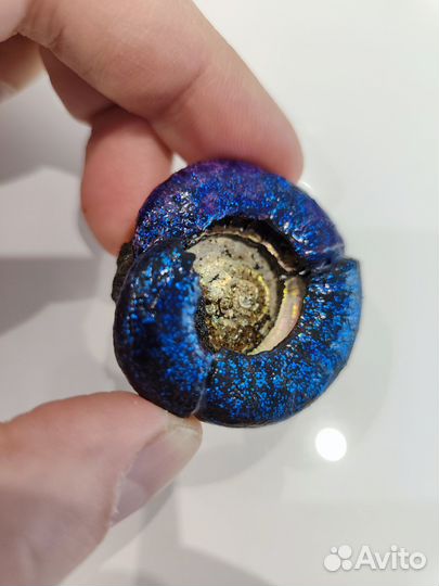 Аммонит с перламутром и изумрудной крошкой