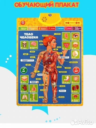 Музыкальный двусторонний Плакат детский