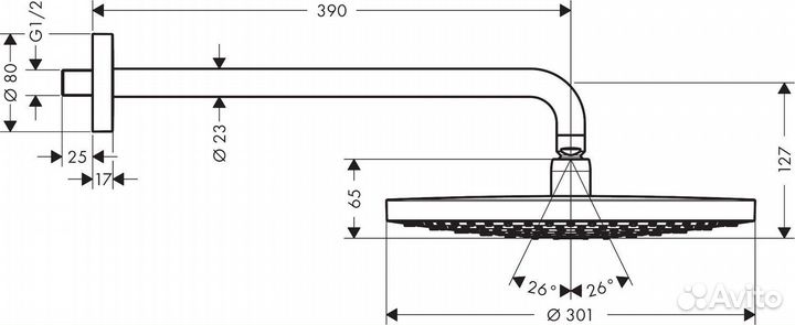 Верхний душ Hansgrohe Raindance Select S 300 2jet