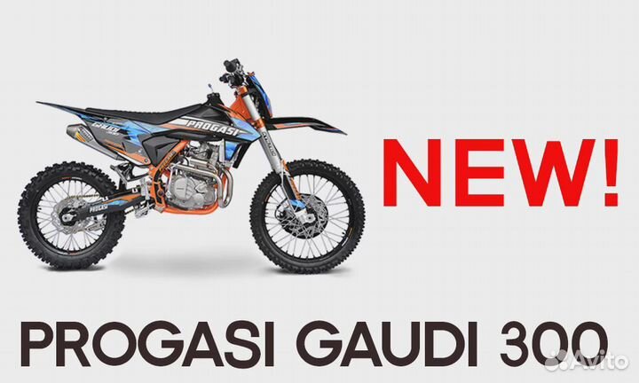 Progasi gaudi 300