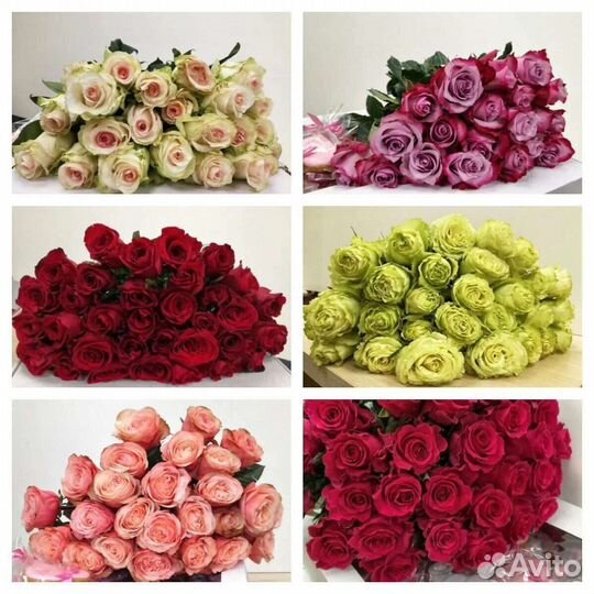 Розы оптом