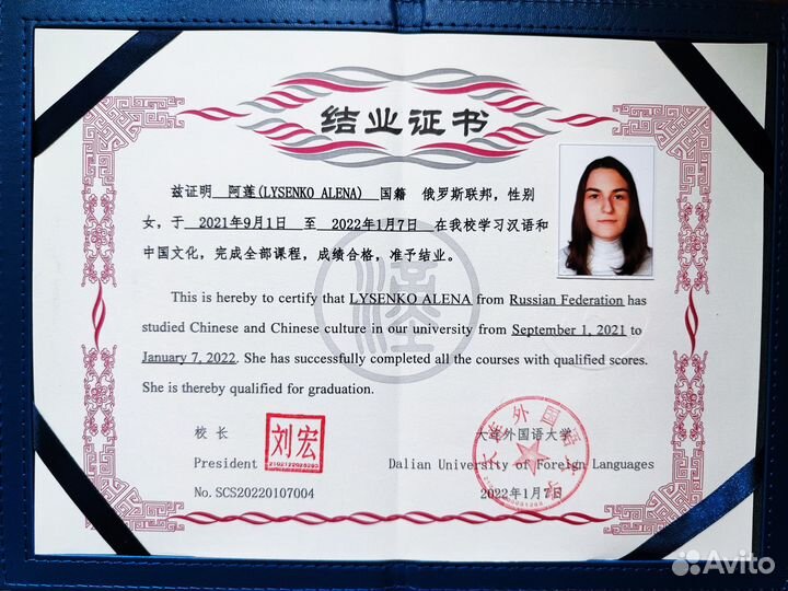 Педагог китайского языка