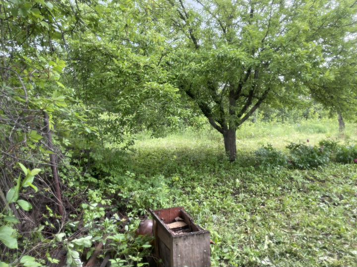 Участок 8 сот. (СНТ, ДНП)