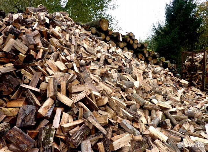 Дрова на выбор