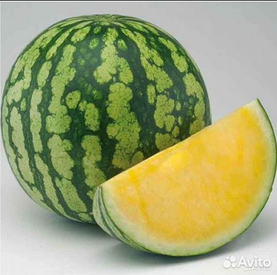 Семена Арбузов