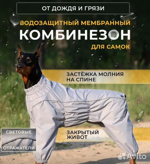 Комбинезон дождевик для собаки средних пород