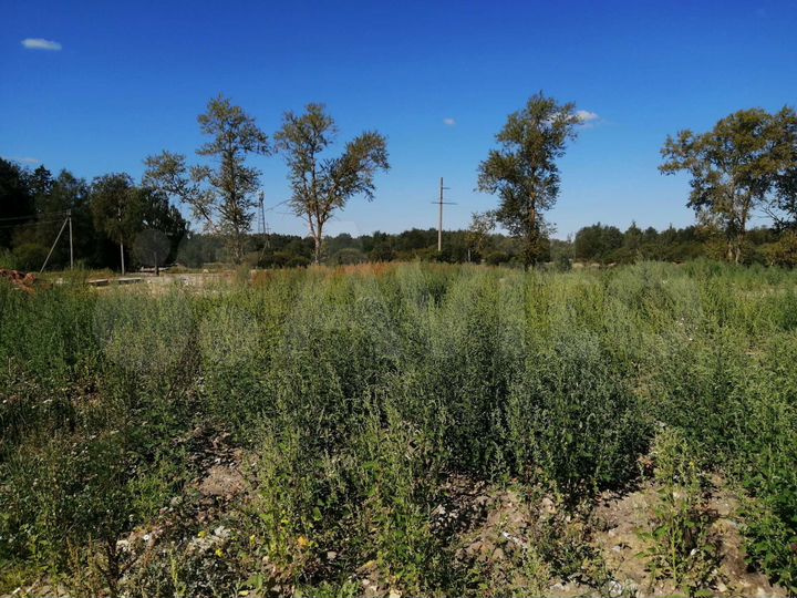 Участок 10 сот. (СНТ, ДНП)