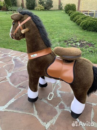 Лошадь Поницикл