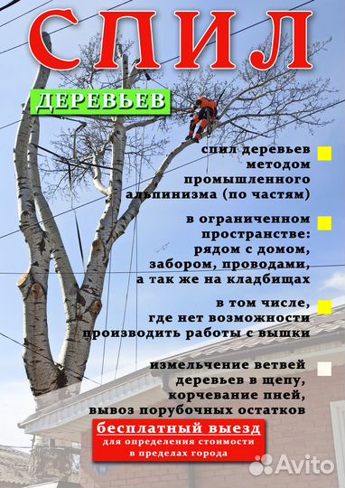 Спил деревьев