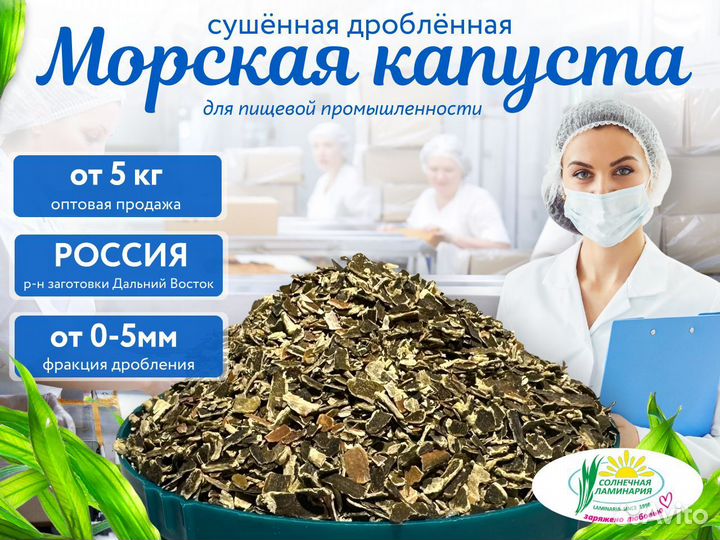 Морская капуста. Ламинария. Опт от 5 кг