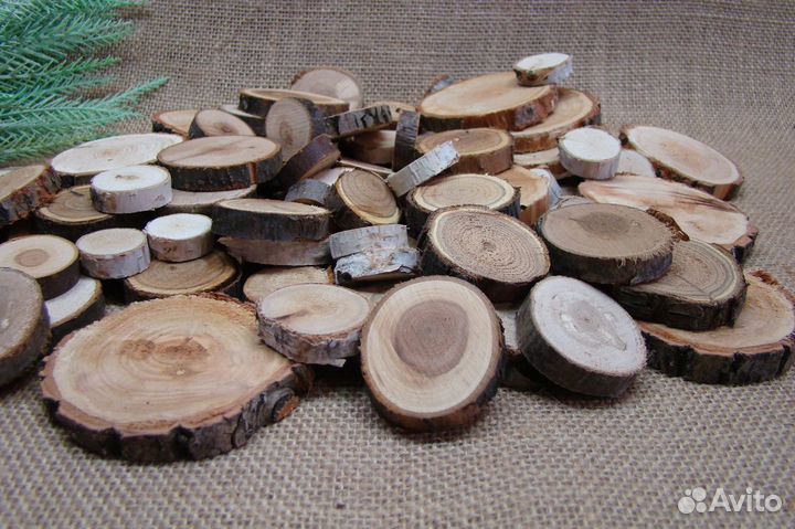 Спилы Набор 100 шт. разных размеров и пород дерева