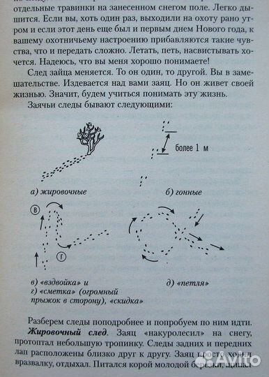 Сугробов В. Охота на зайца