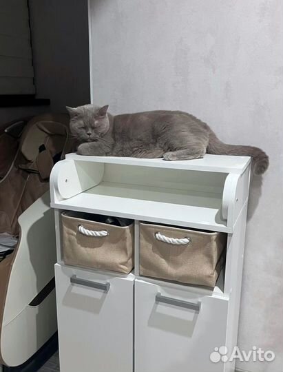 Комод пеленальный