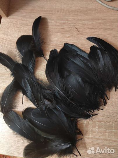 Перья декоративные