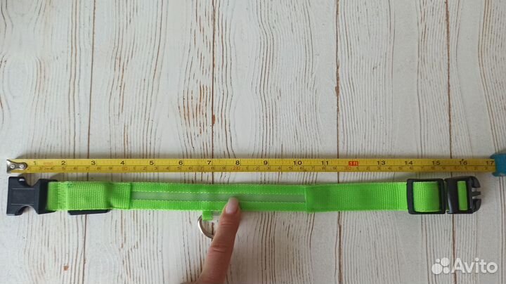 Ошейник для собаки светящийся