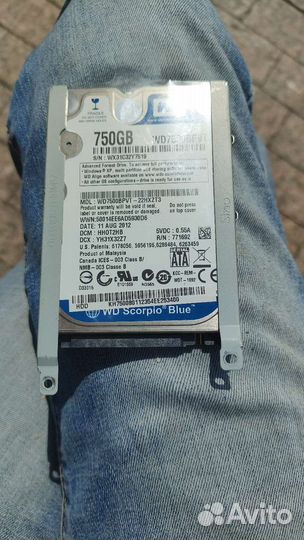 Жёсткий диск wd 750 гб
