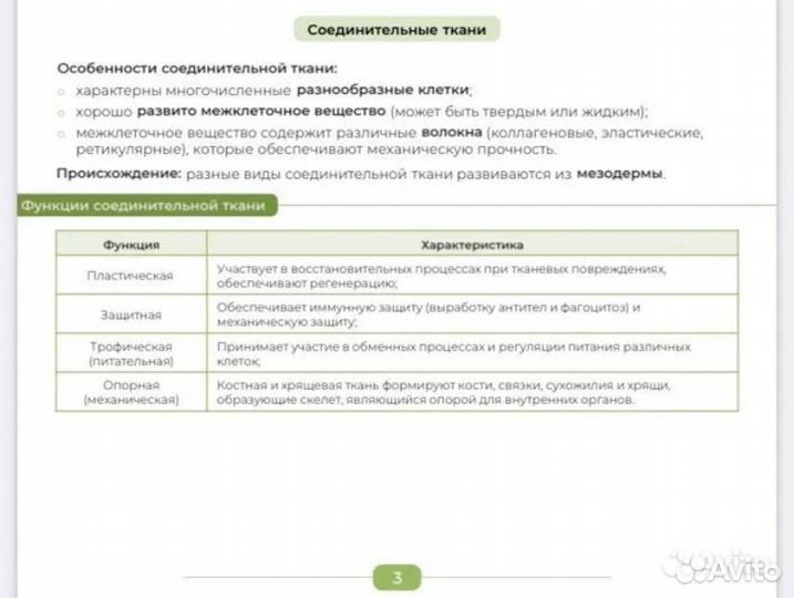 Теория для подготовки к егэ по биологии