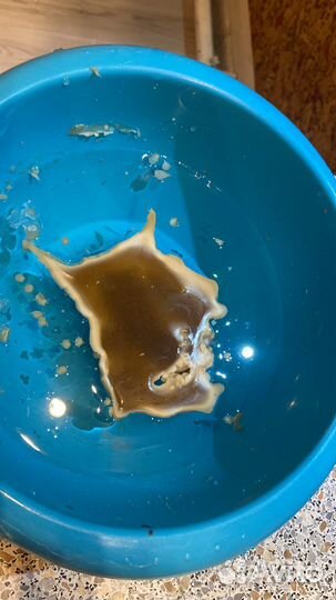 Приворот.Гадалка.Гадание.Приворот