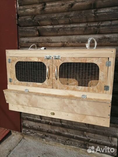 Брудер для цыплят