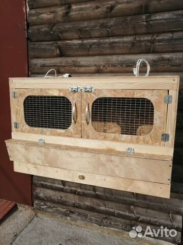 Брудер для цыплят