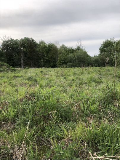 Участок 9,3 сот. (ИЖС)