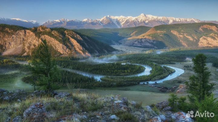 Тур в авторский тур на Алтай 7 дней