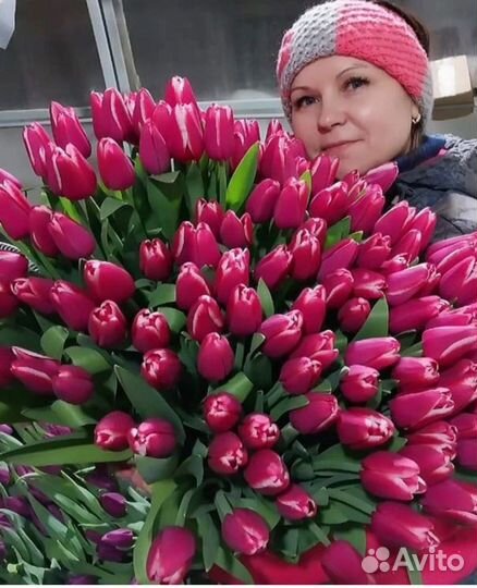 Тюльпаны оптом