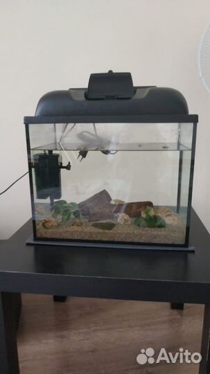 Аквариум