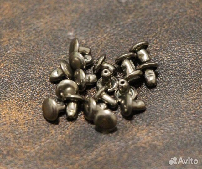 Хольнитены двухсторонние