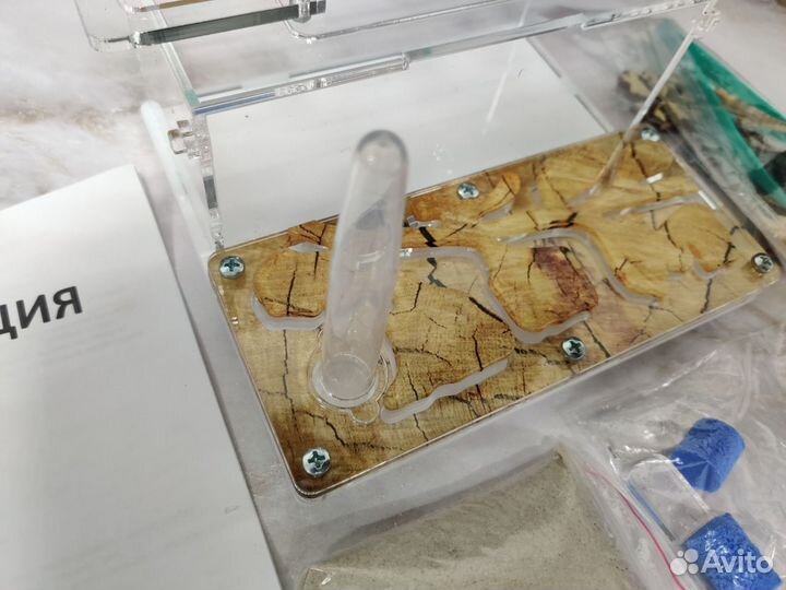 Муравьинная ферма