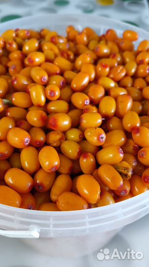 Замороженные ягоды