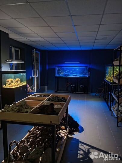 Студия Аквариумного дизайна Аква
