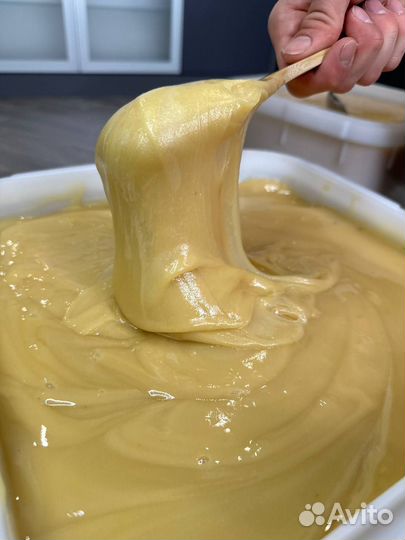 Мед донниковый