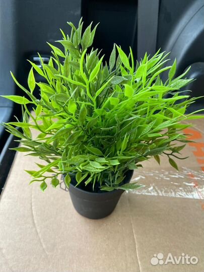 Икеа Кашпо, Фейка