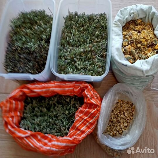 Сушеные и свежие травы. Календула и др