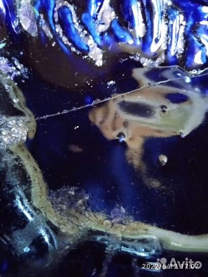 Пепельница, СССР, 1951г, фарфор, трещина склеена