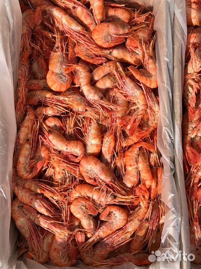 Креветка Ботан