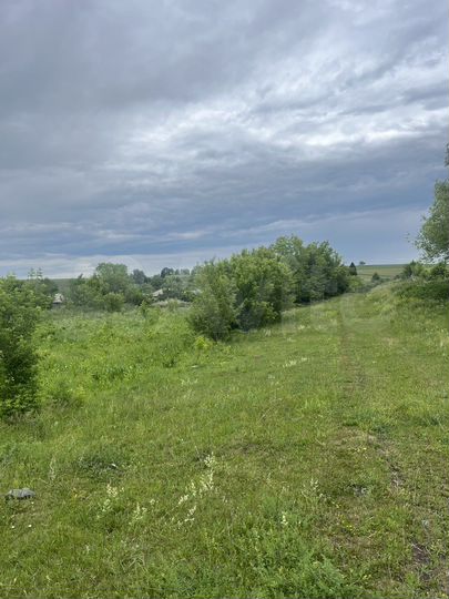 Участок 15 сот. (ИЖС)