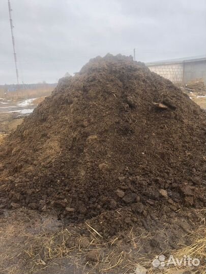 Продам навоз конский, коровий