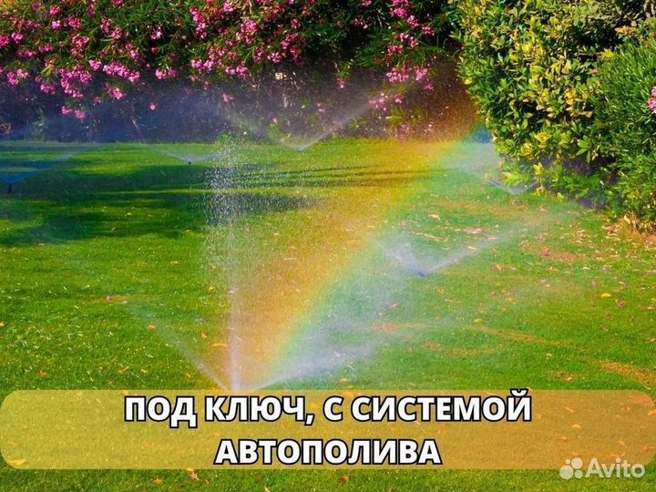 Укладка газона